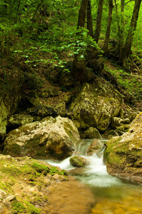 夏日山河