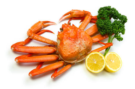 红雪蟹红雪蟹红雪蟹红雪蟹红雪蟹红雪蟹皇家钻石红红雪蟹丹麦红邮政