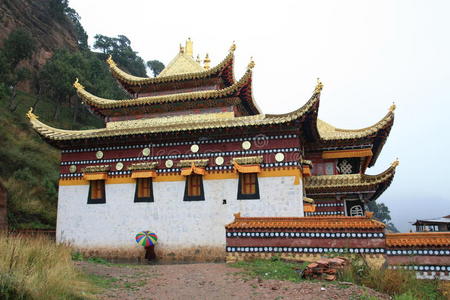 中国藏兰木寺图片