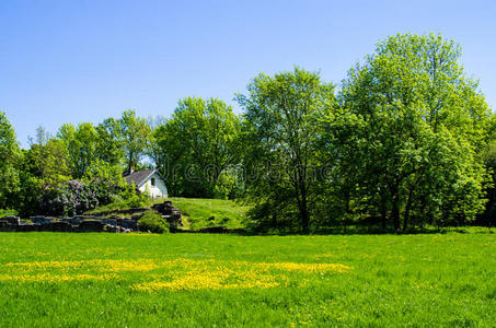 全景图 自然 草地 生态学 全景 环境 废墟 未来 农场