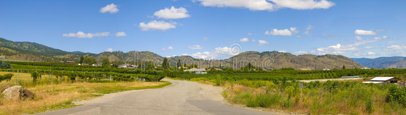 奥索约葡萄酒谷蜿蜒的道路