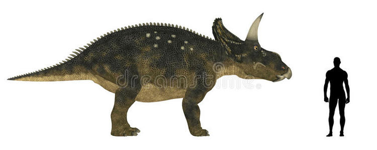 nedoceratops大小比较