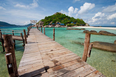 珊瑚 海洋 长的 风景 海滩 海湾 旅行 泻湖 夏天 自然