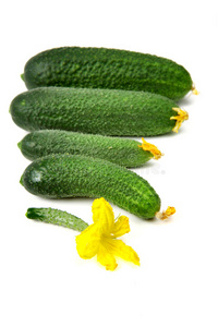黄瓜 食物 饮食 颜色 营养 美食家 植物 收获 农业 美味的