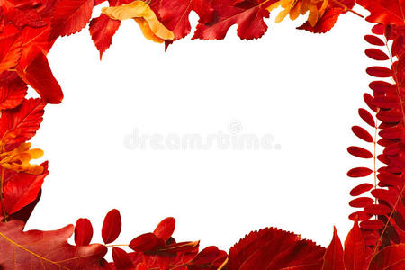 框架是用天然秋天的红叶做成的