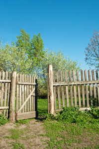 村里的旧篱笆