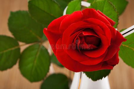 花瓶里美丽的红玫瑰
