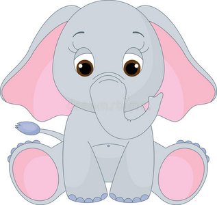 可爱的小象照片