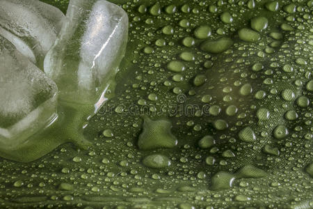 湿绿叶冰块