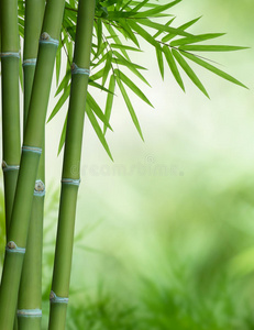 竹树图片 竹树素材 竹树插画 摄图新视界 竹树图片 竹树素材 竹树插画 摄图新视界