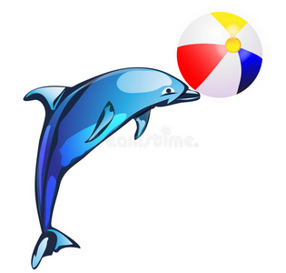 海豚插图