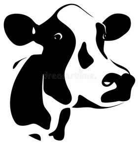 乳白色的牛抽象牛照片