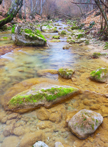 透明河