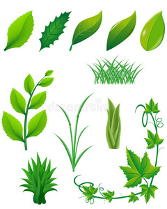 设计用绿叶和植物的图标集