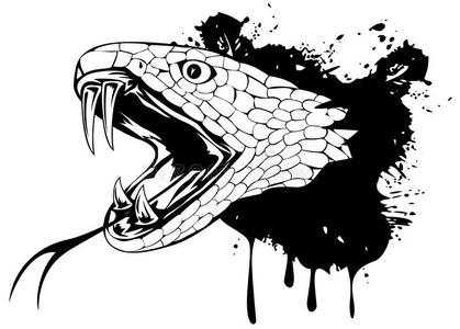 蛇头图片