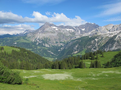 瑞士阿尔卑斯山的风景