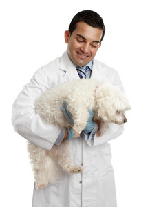 兽医抱着一只小狗