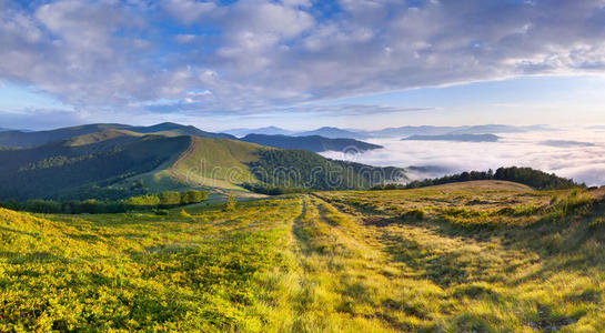 美丽的夏季山景