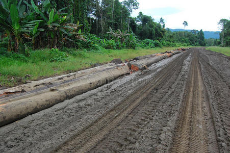 巴布亚新几内亚内陆运输公路图片