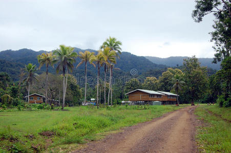植物叫凤仙花 walleriana 或 nuova 几内亚在意大利语红热猫尾植物
