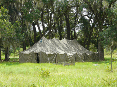 橡树丛中的大帐篷图片