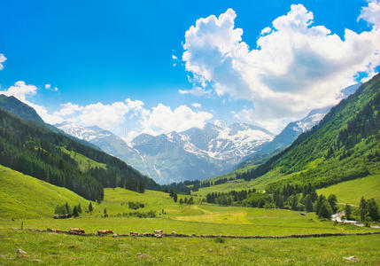 奥地利萨尔茨堡阿尔卑斯山风景区