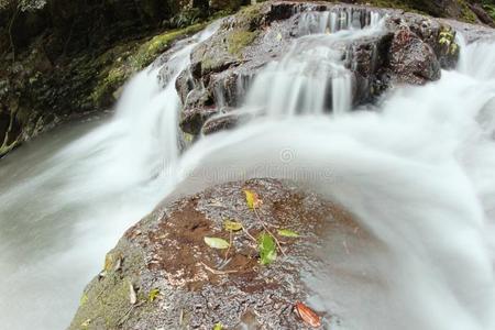 世界遗产区埃拉巴纳瀑布图片