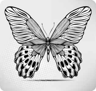 蝴蝶面具手绘图片