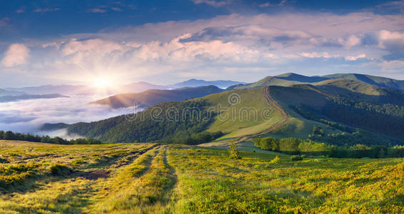 美丽的夏季山景