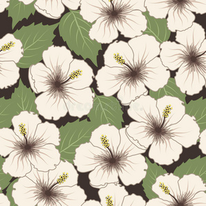 纱罗图片 纱罗素材 纱罗插画 摄图新视界