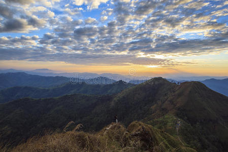 美丽的夏季山景