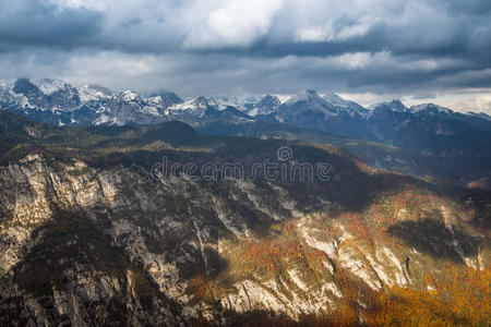 阿尔卑斯山