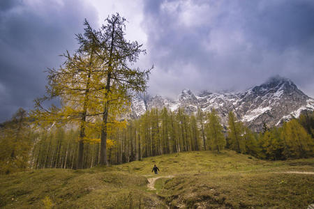 阿尔卑斯山