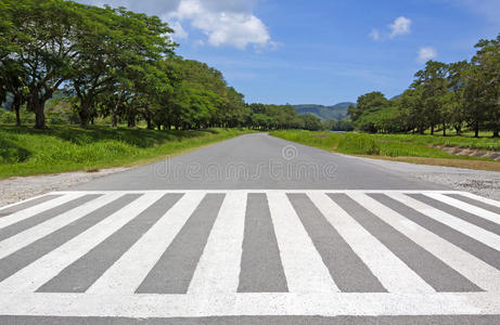 灰色的斑马图片-灰色的斑马素材-灰色的斑马插画-摄图新视界