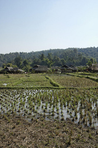 泰国清迈凯伦长颈村