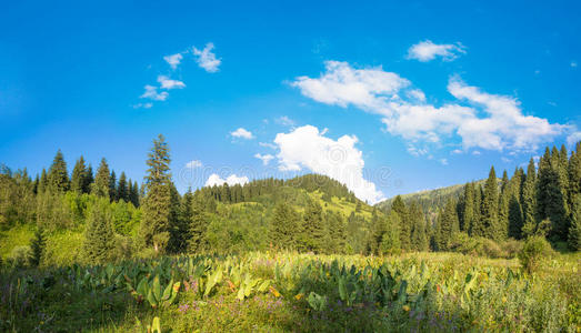 哈萨克斯坦阿拉木图自然全景