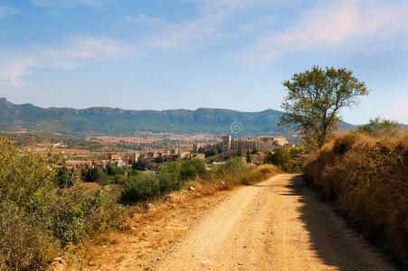风景 孤独 夏天 自然 车道 人行道 要塞 西班牙 城堡