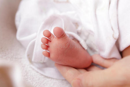 小宝宝的脚和妈妈的手