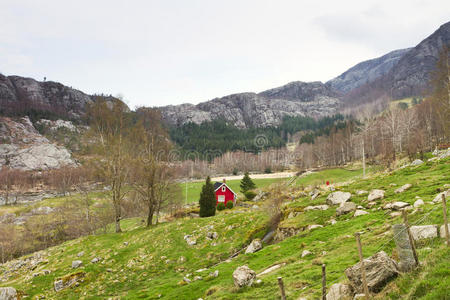 挪威欧洲的完整景观