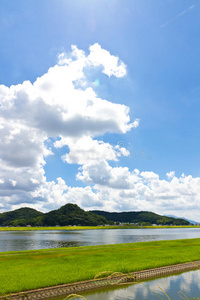 夏季滨江景观