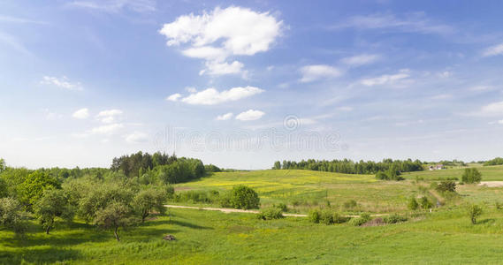 绿色乡村夏日全景