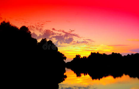 多瑙河三角洲生动的日落