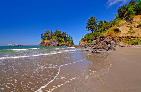 太平洋海岸沙滩上的岩石和沙子图片