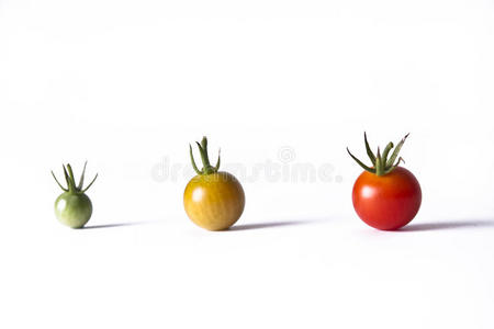 番茄生命周期