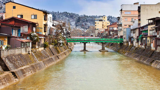 春天里柳枝图片