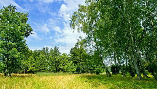 夏季芬兰乡村景观