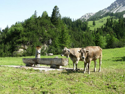 列支敦士登阿尔卑斯山风景