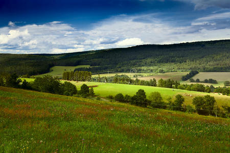 旅行 季节 风景 草地 开花 牧场 巴伐利亚 自然 德国