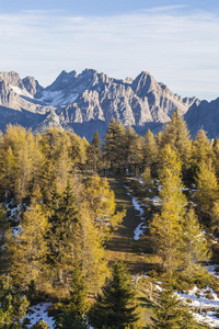 山景