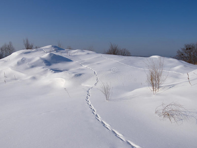 有动物痕迹的冬季景观图片